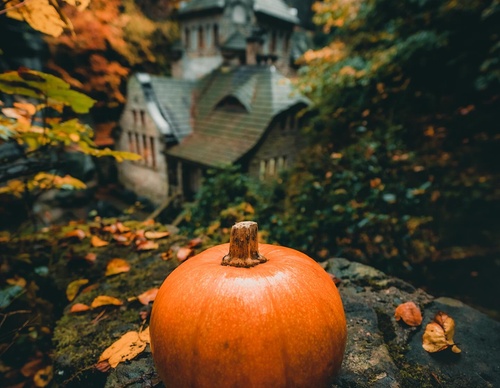 Gallery Of Photography By Giulio Gröbert - Germany