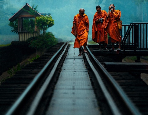 Gallery Of Photography By Luke - United Kingdom