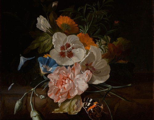 Galería de pintura de Rachel Ruysch, Países Bajos