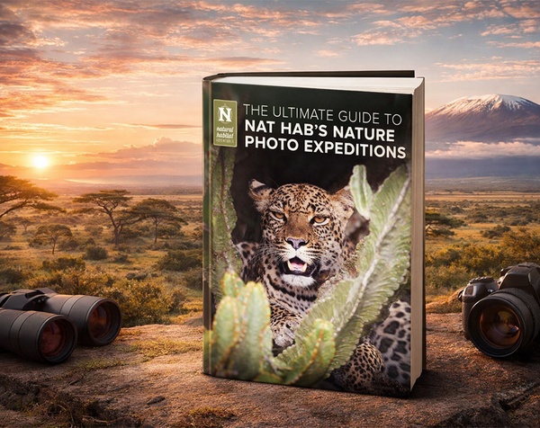 The Ultimate Guide to Nature Photo Expeditions
