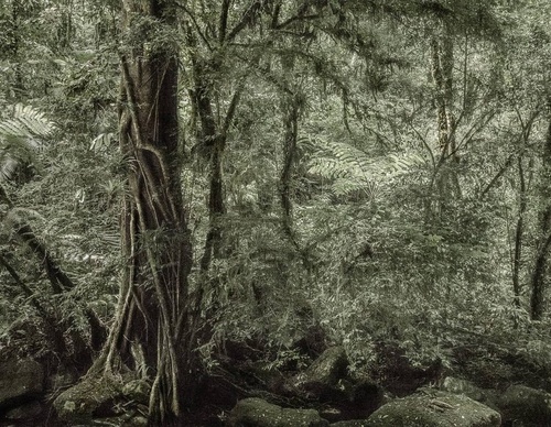 Gallery Of Photography By Cassio Vasconcellos - Brazil