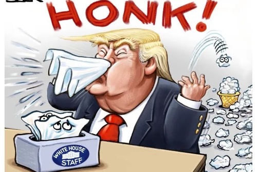 Gallery Of Humor Drawing By Steve Sack - USA