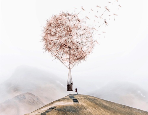 Galería De Ilustración De Luisa Azevedo - Portugal