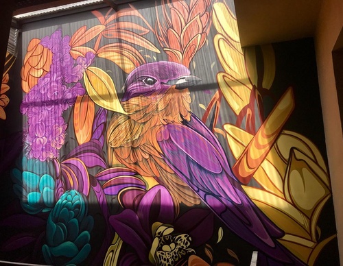 Gallery Of Street Art By Fio Silva - Argentina