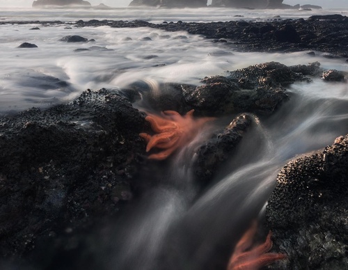 Gallery Of Photography By Daniel Kordan - Indonesia