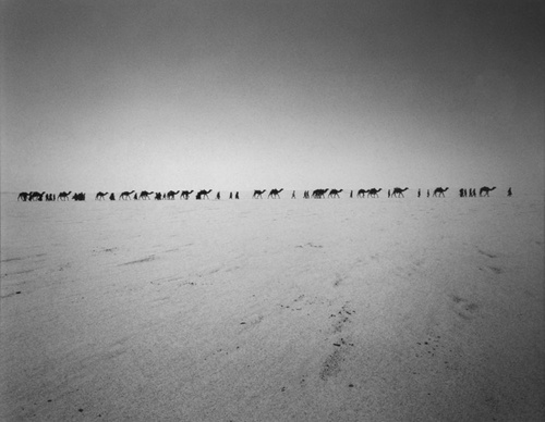 raymond depardon
