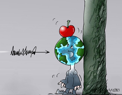 cartoon section