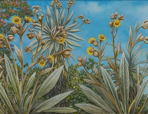 Gallery Of Painting By Gonzalo Ariza - Colombia