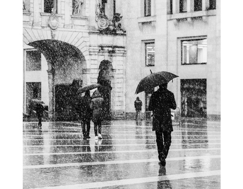 Galeria de fotografia de Ovidiu Șelaru - Romênia