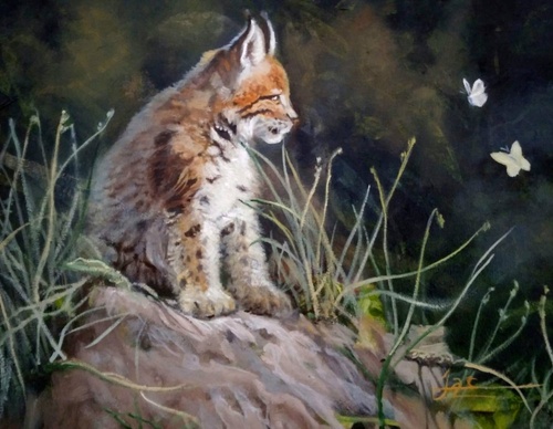 jorge castrillon