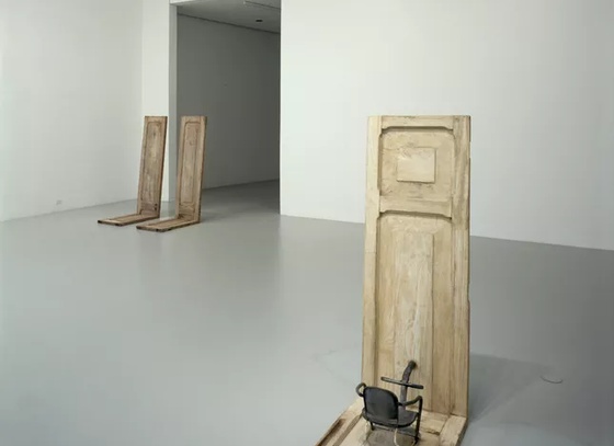 Doris Salcedo