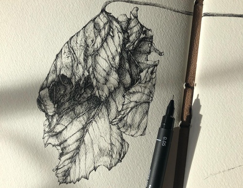 Gallery of Drawing by GiacoMina Ferrillo-Italy