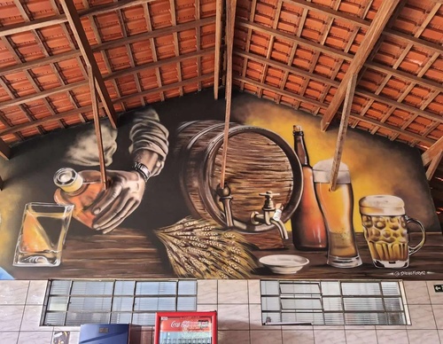 Gallery Of Street Art By Diego Forms - Brazil