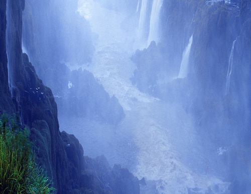 brazil jim zuckerman