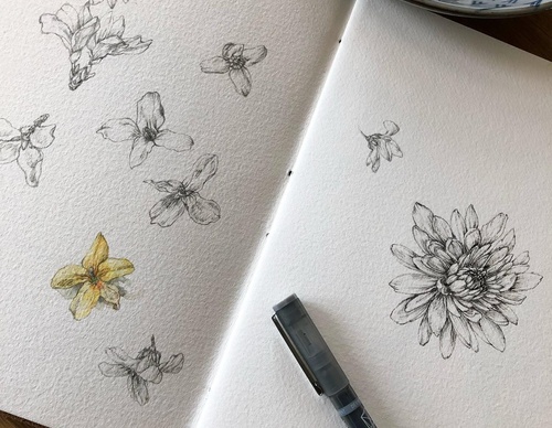 Gallery of Drawing by GiacoMina Ferrillo-Italy
