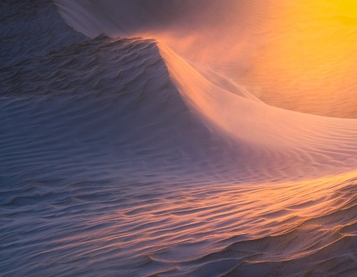 Galeria de fotografias de William Patino - Nova Zelândia