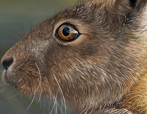 Galería de pintura realista de Annie Drew - Reino Unido