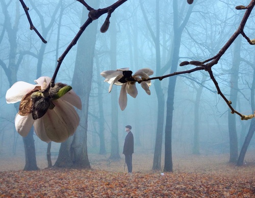 william smith