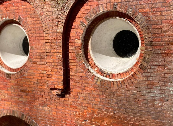 raphael truffi bortholuzzi brazil