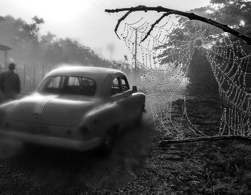 raul canibano