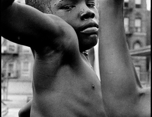 leonard freed