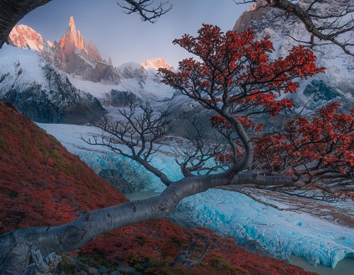 Galería de fotografía de Ty Lekki - Argentina