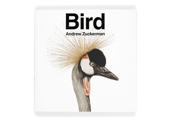 Bird – Andrew Zuckerman