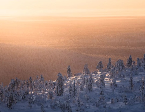 Gallery Of Photography By Elias Kalliola - USA