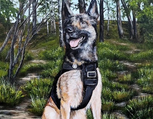 Gallery Of Painting By Tomi Anttila - Finland