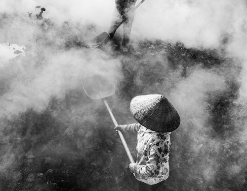Galería de Fotografía de Tran Tuan Viet - Vietnam