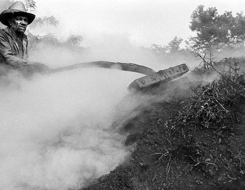 raul canibano