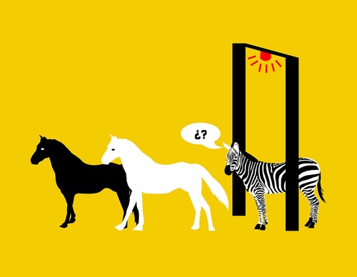 human rights
