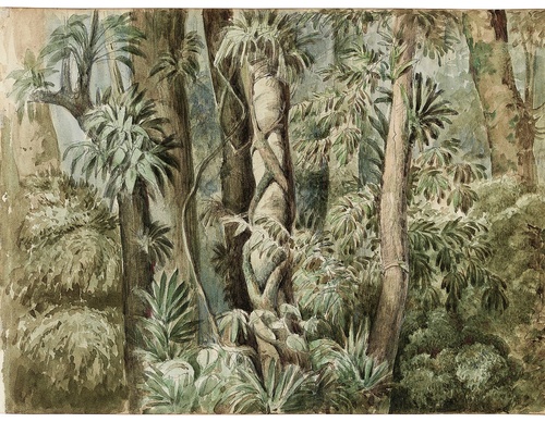 Gallery Of Painting By Manuel de Araujo-Brazil