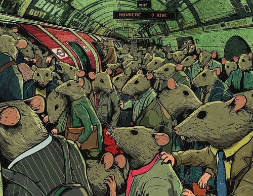 steve cutts