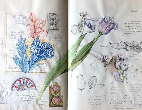 Gallery of Drawing by GiacoMina Ferrillo-Italy