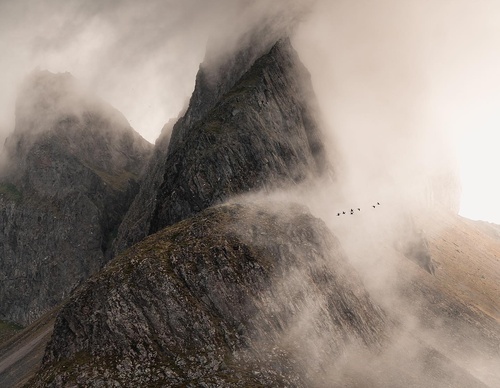 Galería de Fotografía de Daryl Scott Walker - Inglaterra