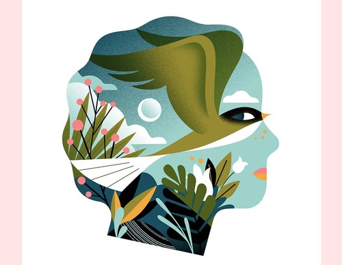 Gallery Of Illustration By Cat Finnie - England