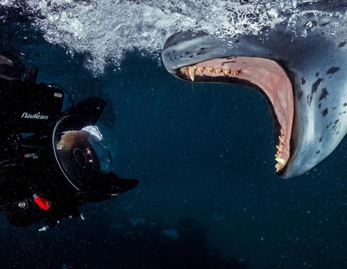 Galeria de Fotografia de Cristina Goettsch Mittermeier - México