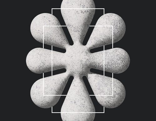 tim boelaars