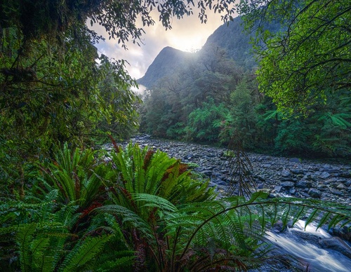 Galeria de fotografias de William Patino - Nova Zelândia