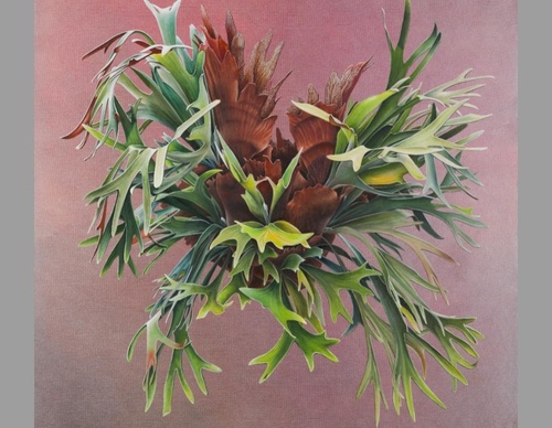 Gallery Of Visual Art By Carlo Batistella - Brazil
