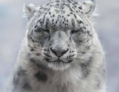 Gallery Of Photography By Khumais Idrees - Pakistan
