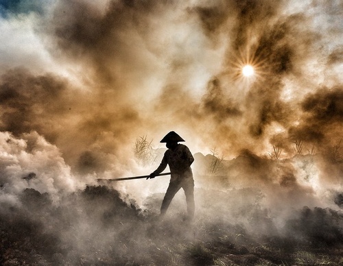 Galería de Fotografía de Tran Tuan Viet - Vietnam