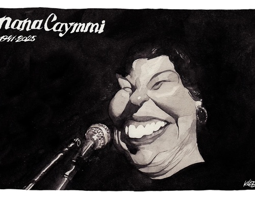 kleber sales co brasil