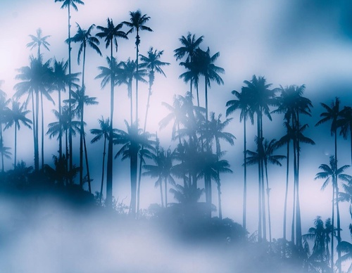 Gallery Of Photography By Santiago Sierra D - Colombia