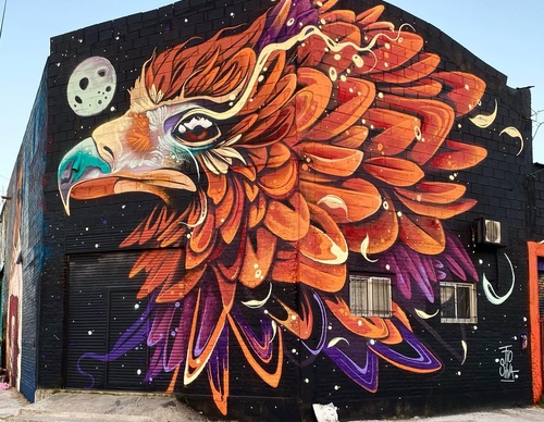 Gallery Of Street Art By Fio Silva - Argentina