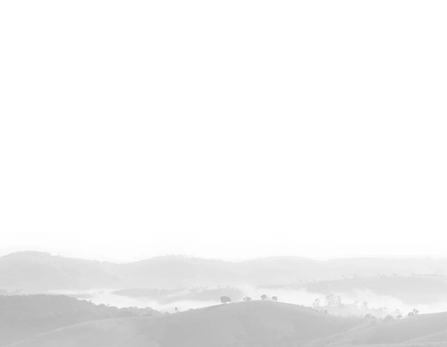 Gallery of photography by Gustavo Bettini-Brazil