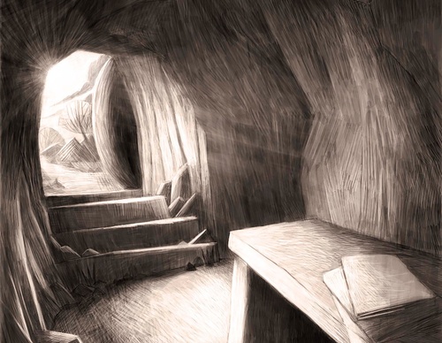 Gallery of illustration by Rogerio Coelho-Brazil
