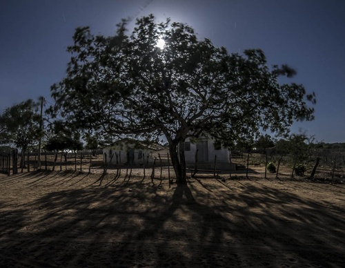 Gallery of photography by Gustavo Bettini-Brazil
