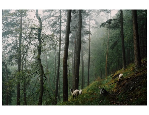 Gallery Of Photography By Daniel Casson - England